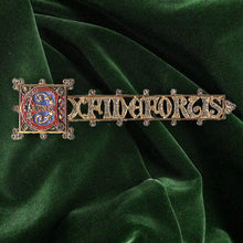 Load image into Gallery viewer, Ex Fide Fortis, From Faith...Strength Brooch by Sweet Romance P105