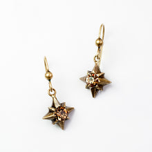 Load image into Gallery viewer, Statement Star Earrings E1496 - Sweet Romance Wholesale