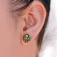 Load image into Gallery viewer, Crystal Halo Earrings E1256 - Sweet Romance Wholesale
