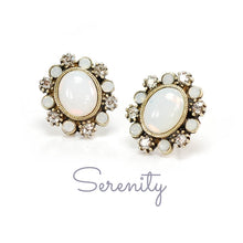 Load image into Gallery viewer, Geneva Jewel Earrings E1260 - Sweet Romance Wholesale