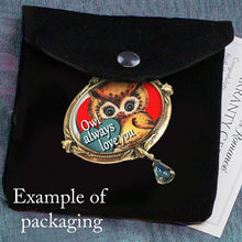 Load image into Gallery viewer, Owl Always Love You' Valentine Pin P343 - Sweet Romance Wholesale